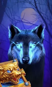 Book Of The Night Wolf
